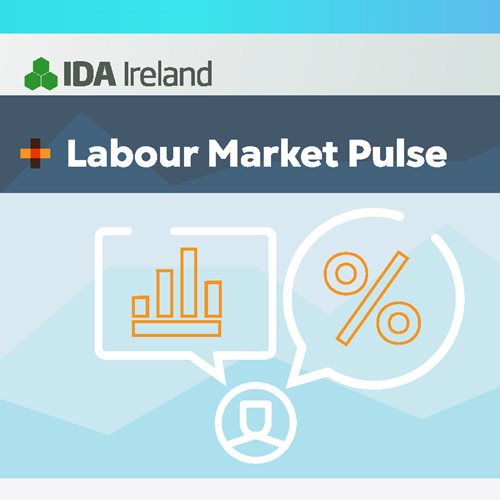 Labour Market Pulse Edition 6